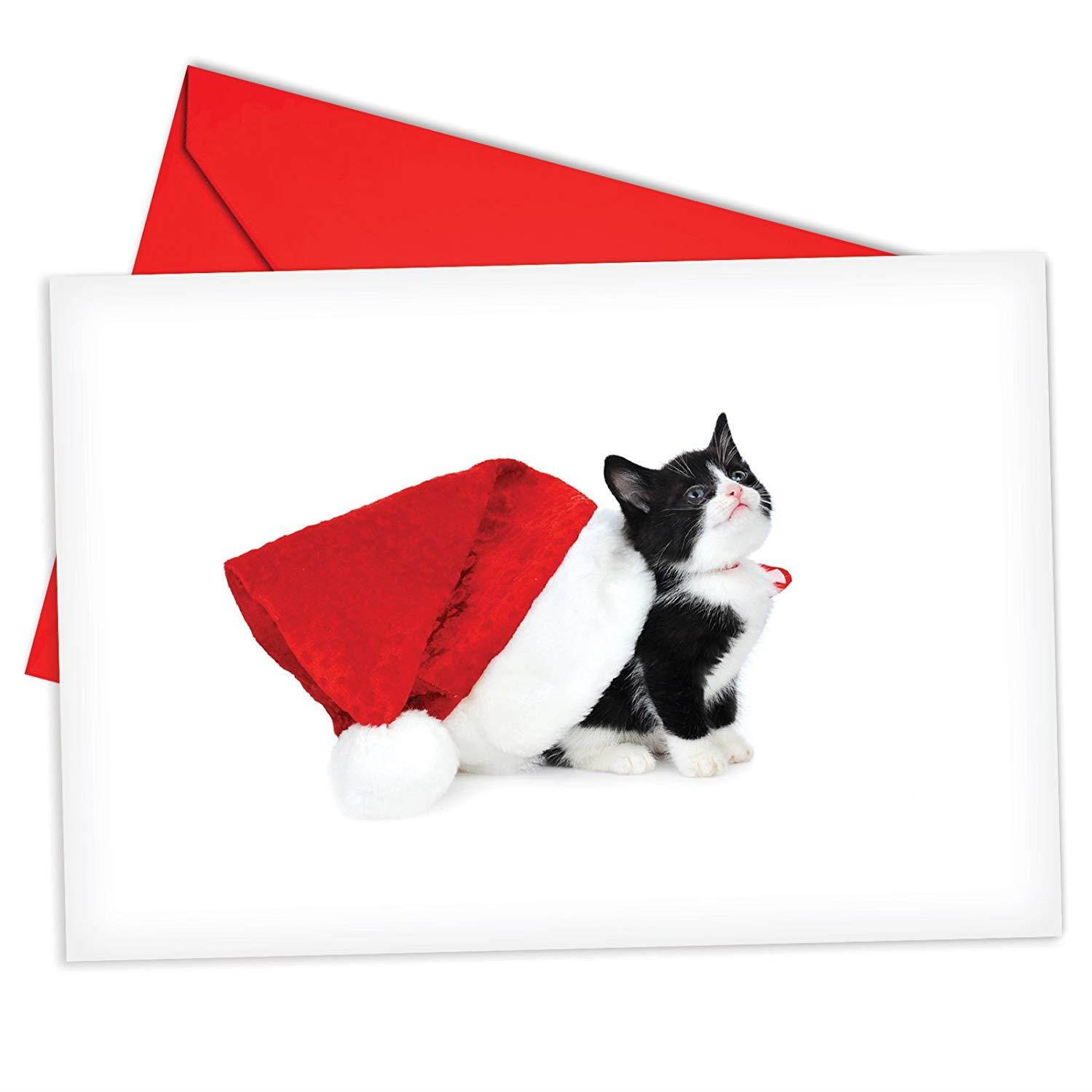 B6687FXSG Box Set of 12 Santa Cats Christmas Card Featuring a Sweet Kitty Wearing a Santa's Hat; with Envelopes