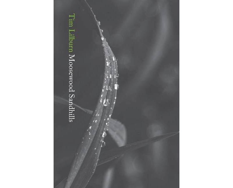 Moosewood Sandhills - by  Tim Lilburn (Paperback)