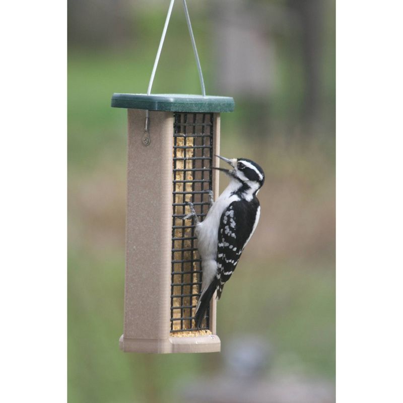 Birds Choice Bird 2-Cake Suet Feeder with Base Bird Feeder
