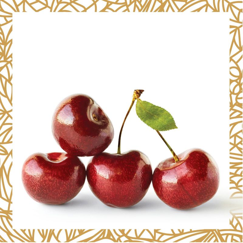 Haagen-Dazs Cherry Vanilla Ice Cream - 14oz