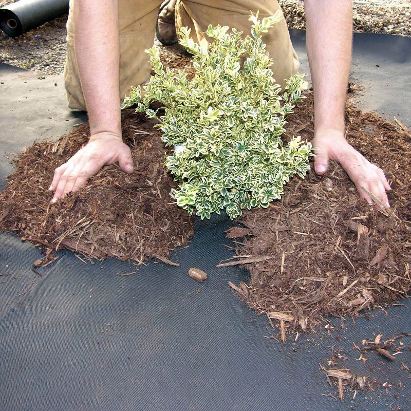 DeWitt Weed Barrier Pro 3 Ounce Landscape Ground Cover Fabric Roll, 4 x 300 Feet