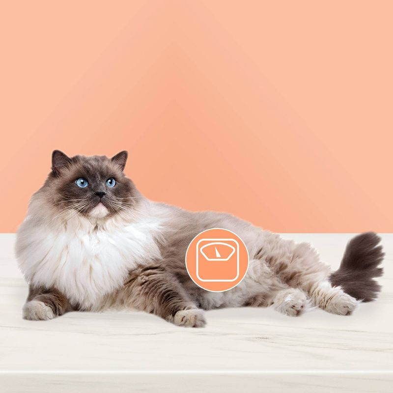 Blue Buffalo True Solutions Fit & Healthy Weight Control Chicken Flavor Premium Wet Cat Food - 3oz