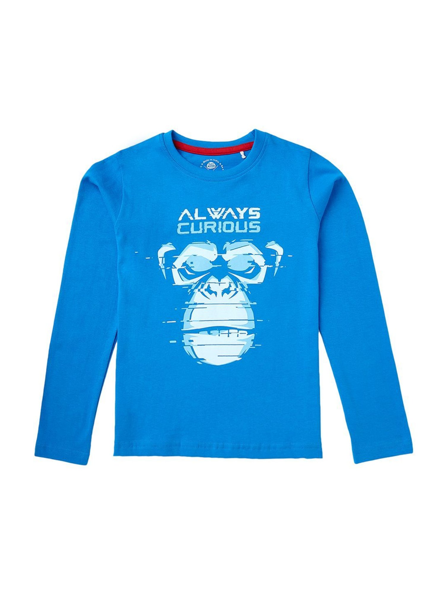 Cub McPaws Kids Multicolor Cotton Printed Full Sleeves T-Shirt (Pack of 3)