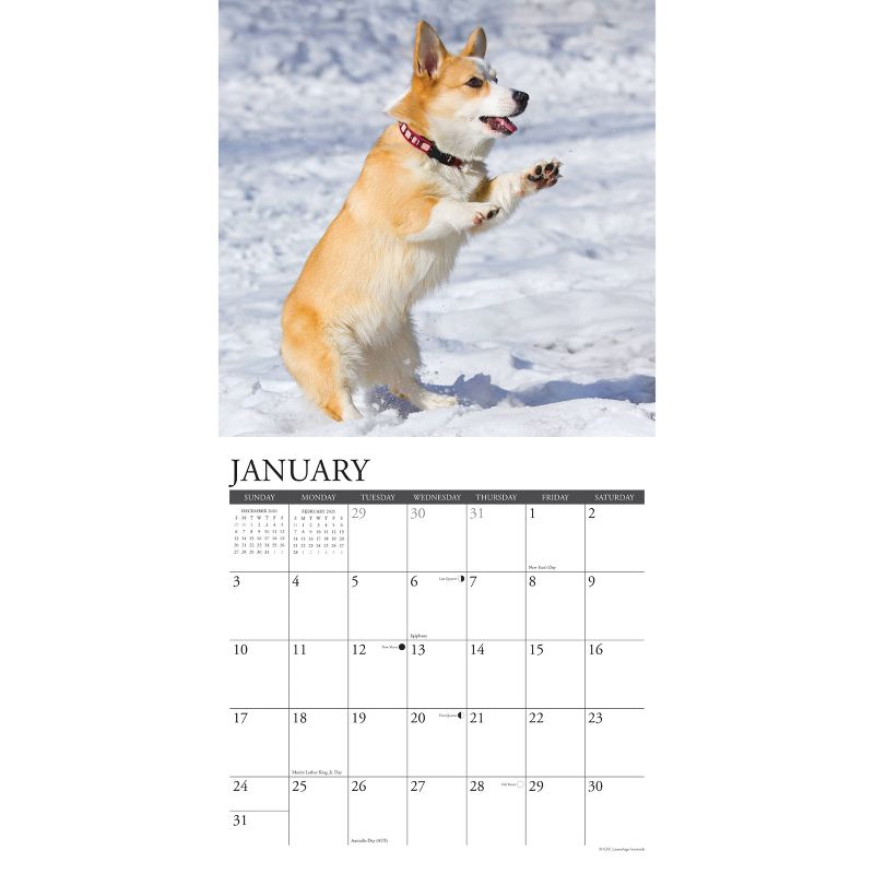 Sellers Publishing, 2021 Outlander 16-Month Wall Calendar