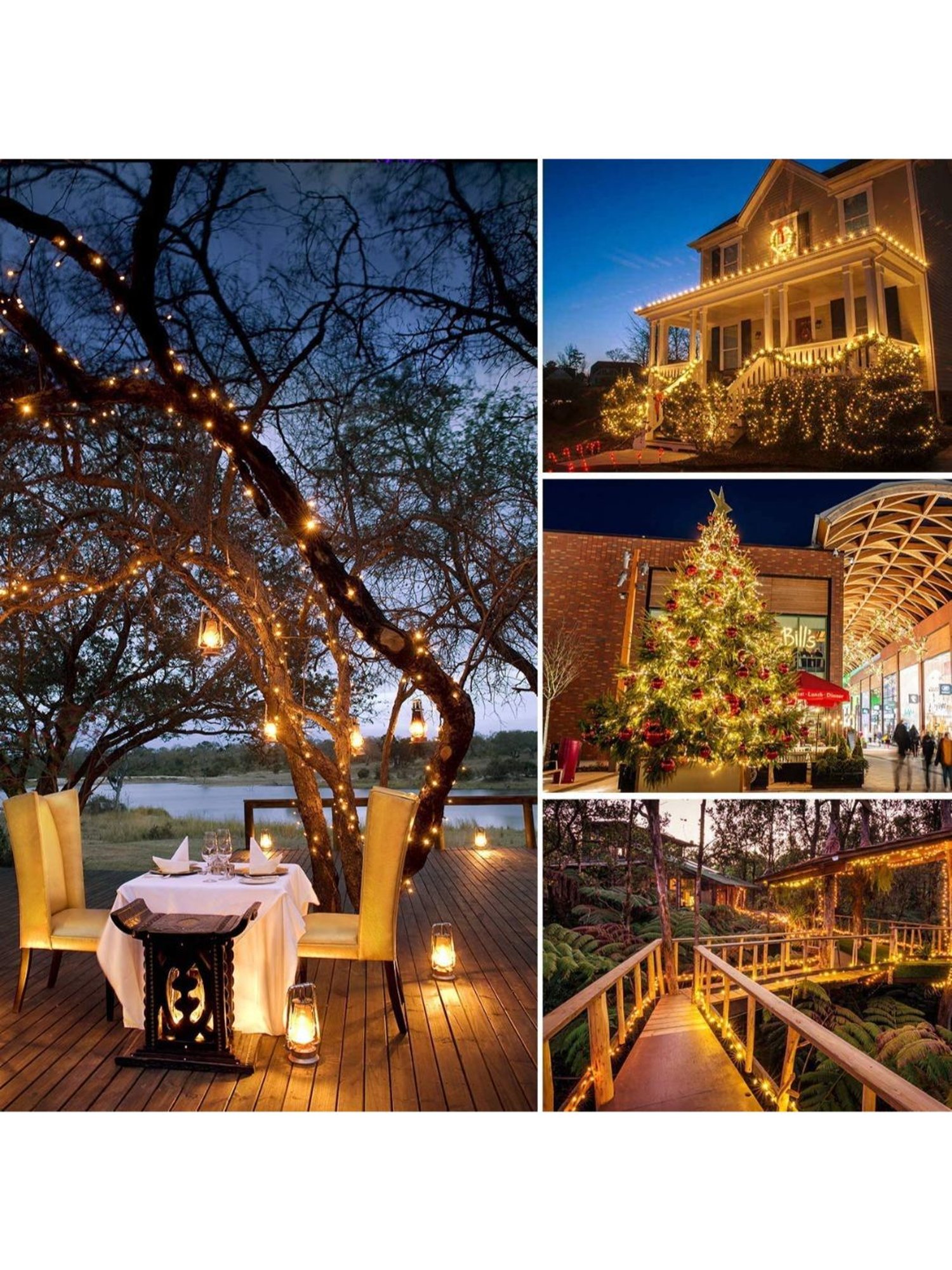 Eveready 0.5 W Standard B22 LED Bulb Pack of 12 (Green)