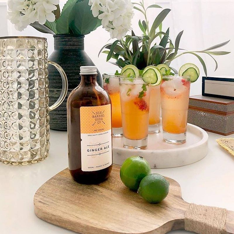 Six Barrel Soda Co. Ginger Ale Soda Syrup - 16.9fl oz