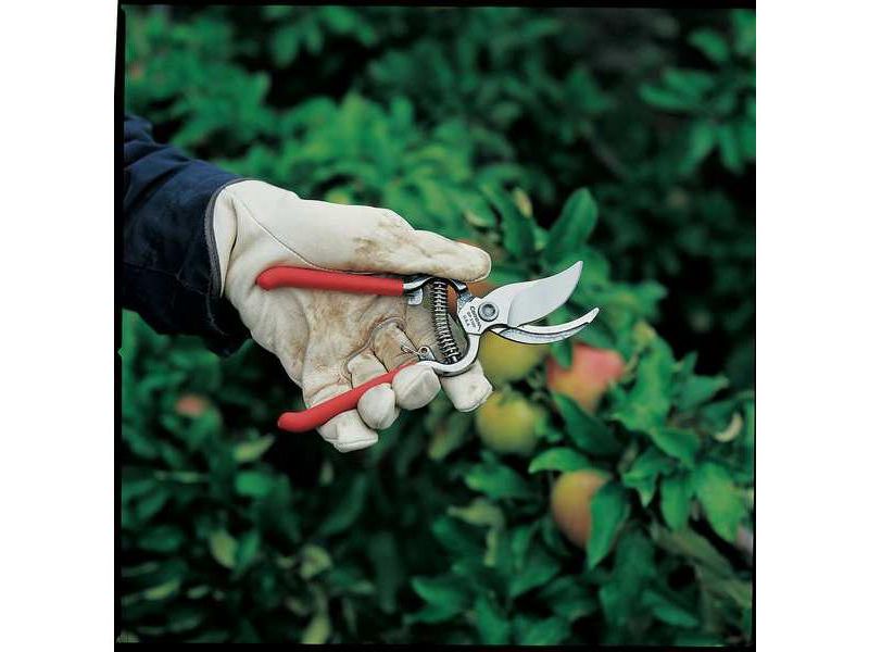 CORONA BP3160 Bypass Pruner,Steel,3/4 In.