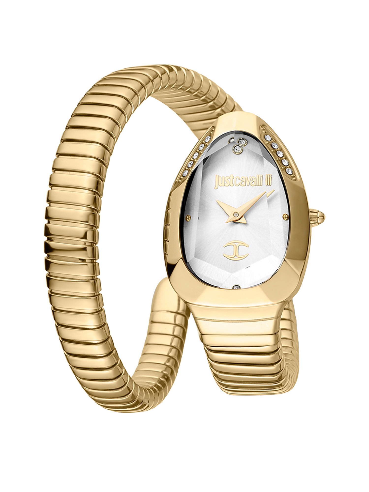 JUST CAVALLI JC1L208M0035 Analog Watch for Women