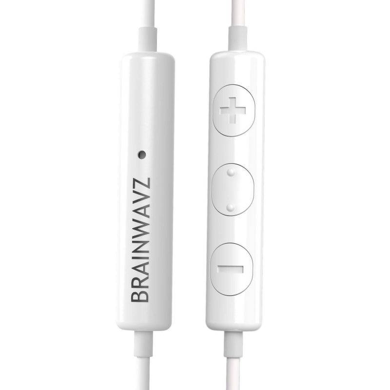 Brainwavz Delta Silver IEM In Ear Earbuds Noise Isolating Earphones Remote Headset Apple iPhone & Android