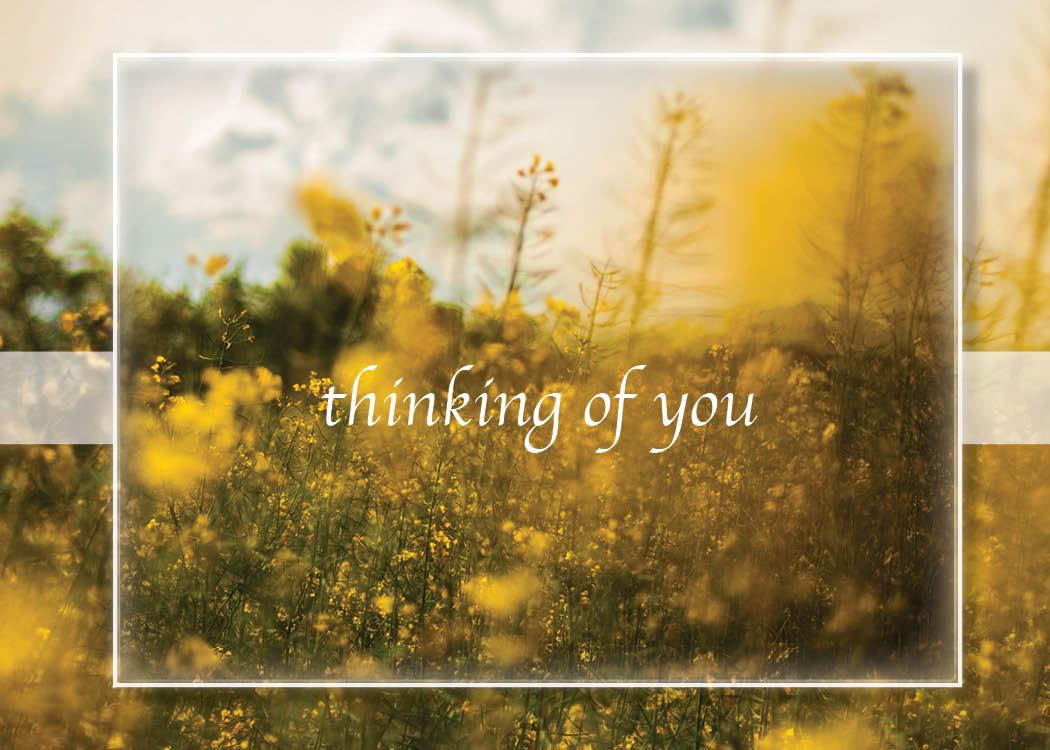 Sympathy Greeting Cards - S1701. Greeting Cards Featuring a Sunny Field of Wheat and Flowers and a Thinking Of You Message. Box Set Has 25 Greeting Cards and 26 Bright White Envelopes.