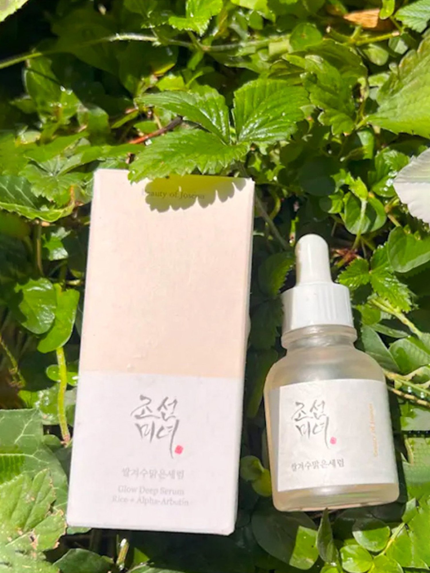 Beauty of Joseon Rice + Alpha-Arbutin Glow Deep Serum - 30 ml