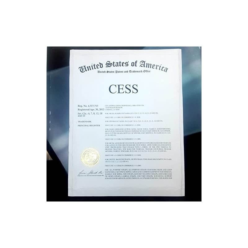 F-Type Connector Male to 2 Female Splitter Adapter - F Male to F Dual Female (1 Pack)