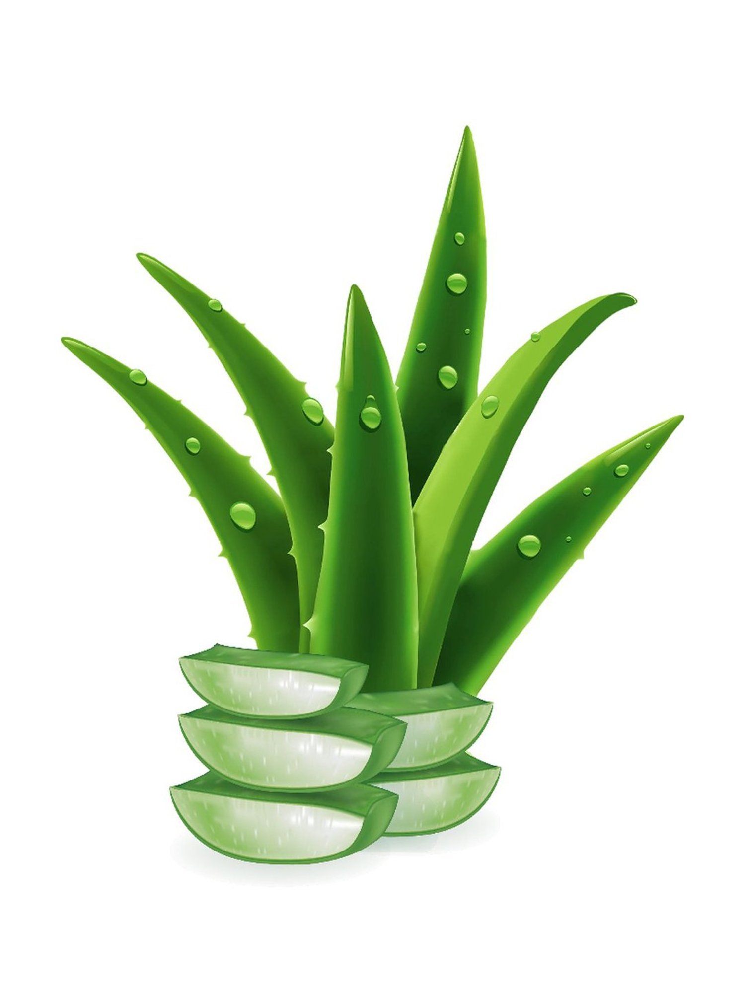 CLEAN AND DRY Foam Wash - 85 gm