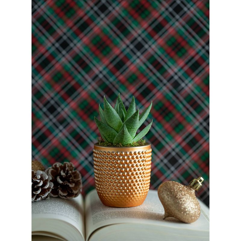 LiveTrends Holiday Sprit - 3pk