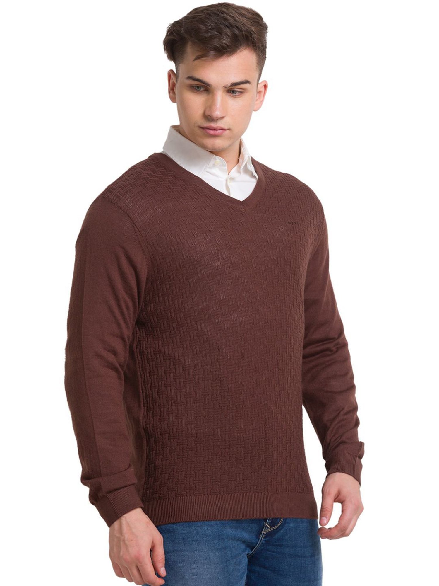 ColorPlus Brown Tailored Fit Self Pattern Sweater