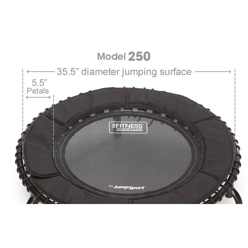 JumpSport 250 Indoor Home Cardio Fitness Safely Cushioned Rebounder Exercise Mini Trampoline with Premium Bungees and Workout DVD, Black