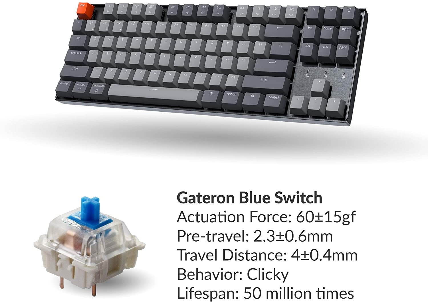 Keychron K8 Tenkeyless Wireless Mechanical Keyboard for Mac, White Backlight, Bluetooth, Multitasking, Type-C Wired Gaming Keyboard for Windows with Gateron Blue Switch