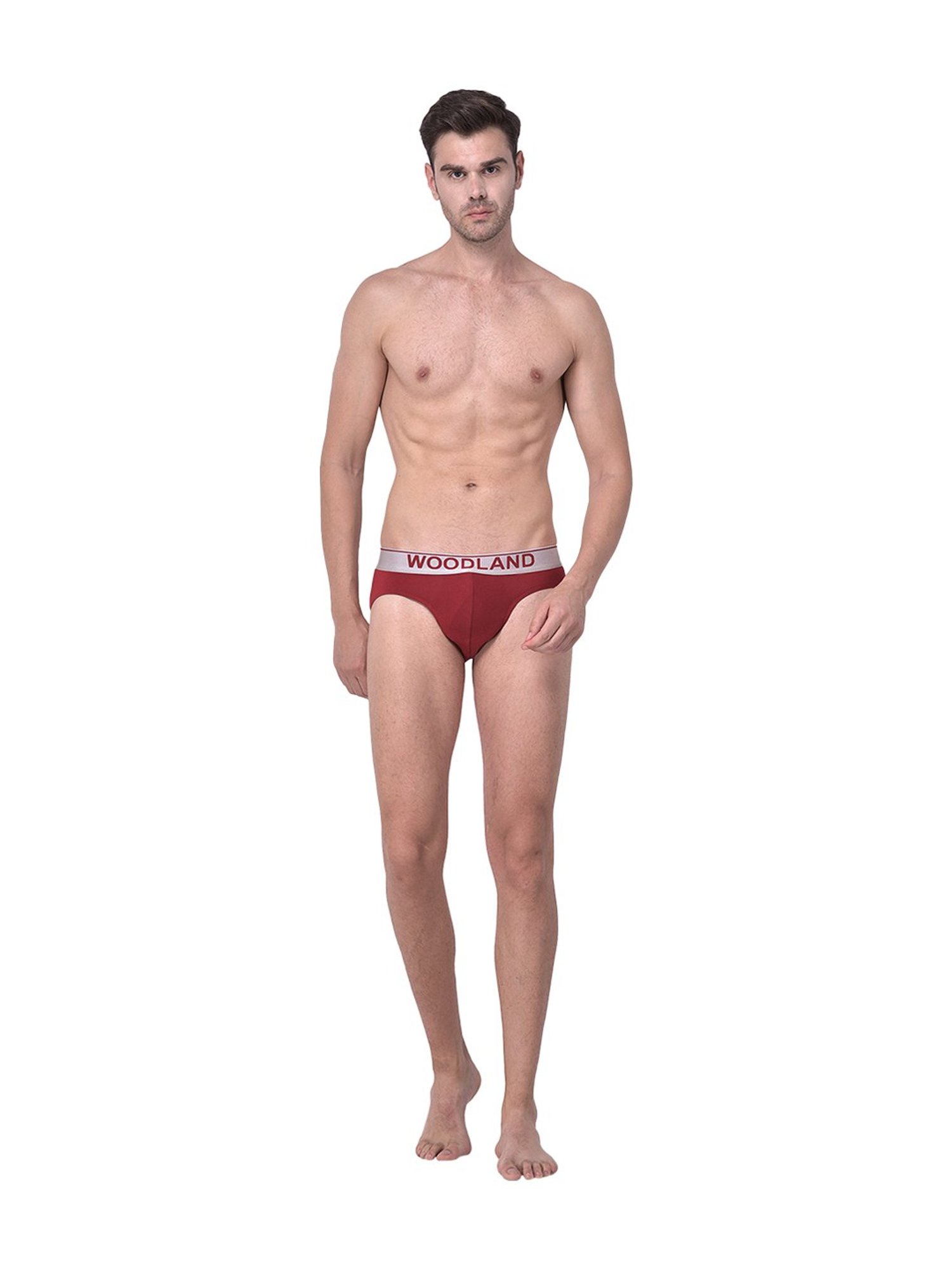 Woodland Maroon Printed Briefs