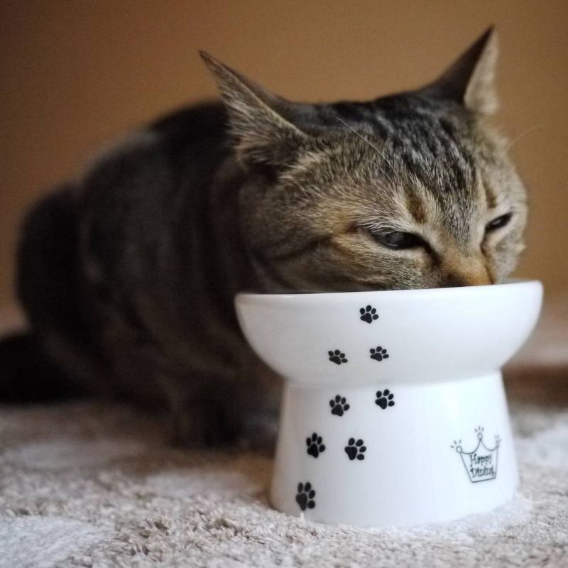 Necoichi Raised Cat Food Bowl