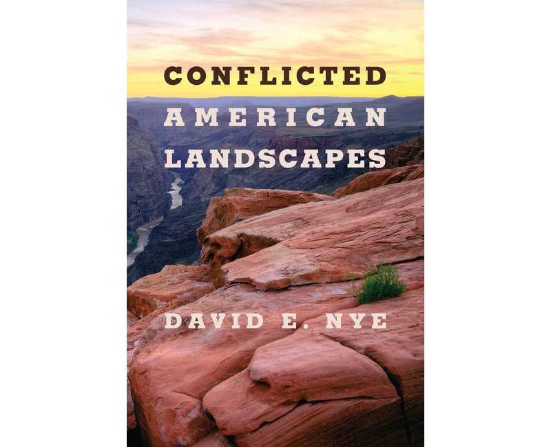 Murder in the Garment District - by  David Witwer & Catherine Rios (Hardcover)