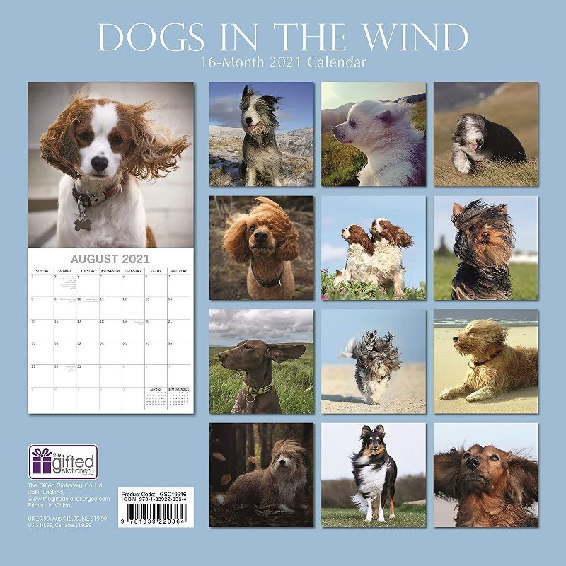 2021 The Everygirl Wall Calendar 15" x 12" Liam - Blue Sky