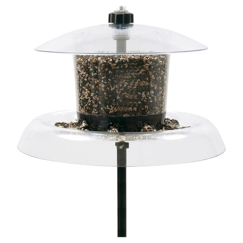 Droll Yankees Jagunda with Auger Squirrel Proof Platform and Hopper Feeder