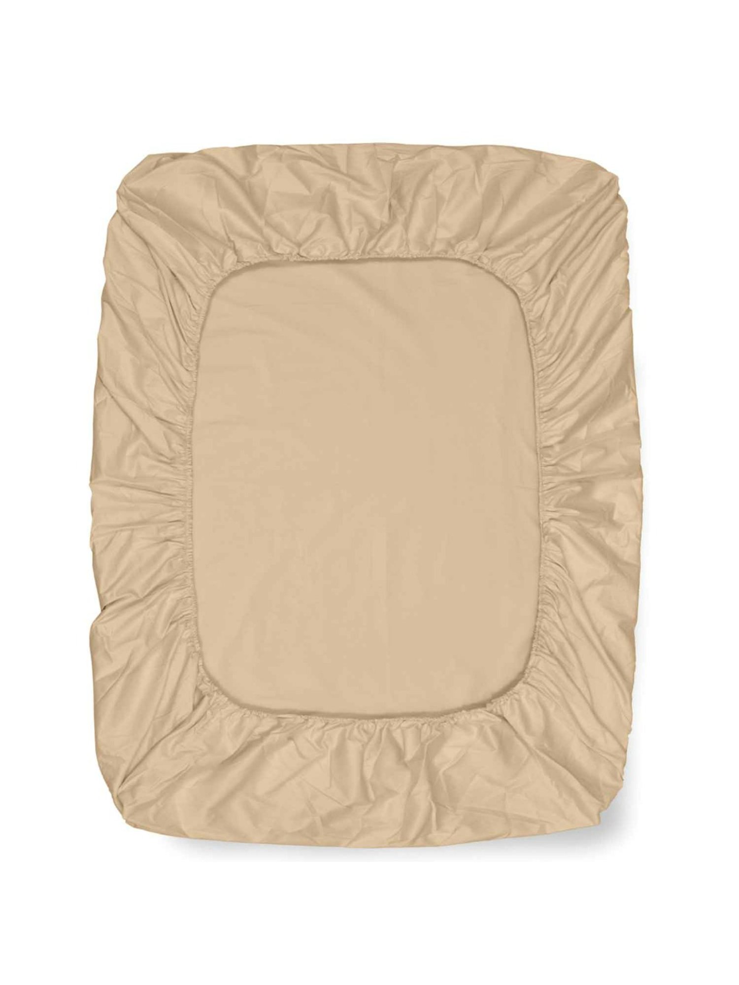 Haus & Kinder Solid Beige 300 TC Cotton Bed Sheet with 2 Pillow Covers