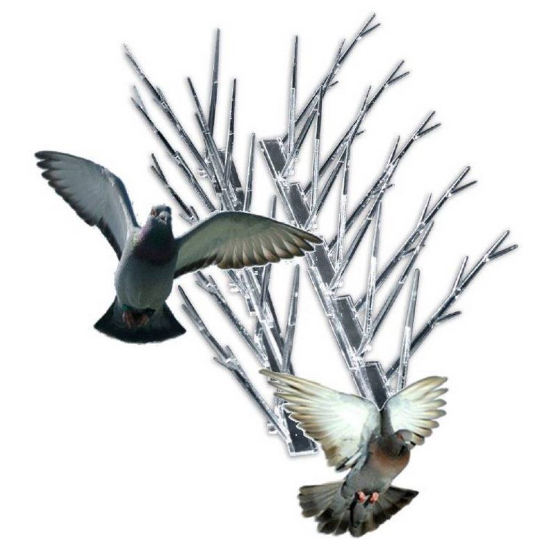 25' Plastic Bird Spikes