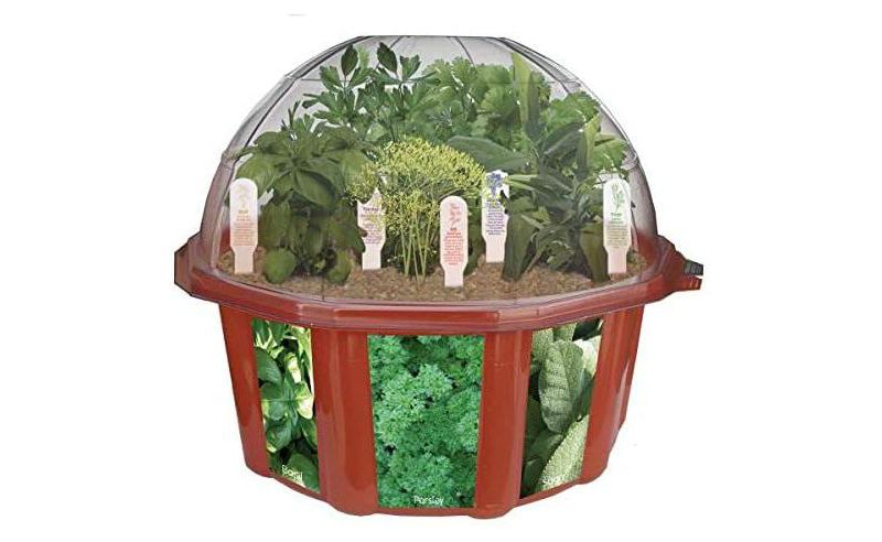 Toys By Nature Biosphere Terrariums - Culinary Herb Garden