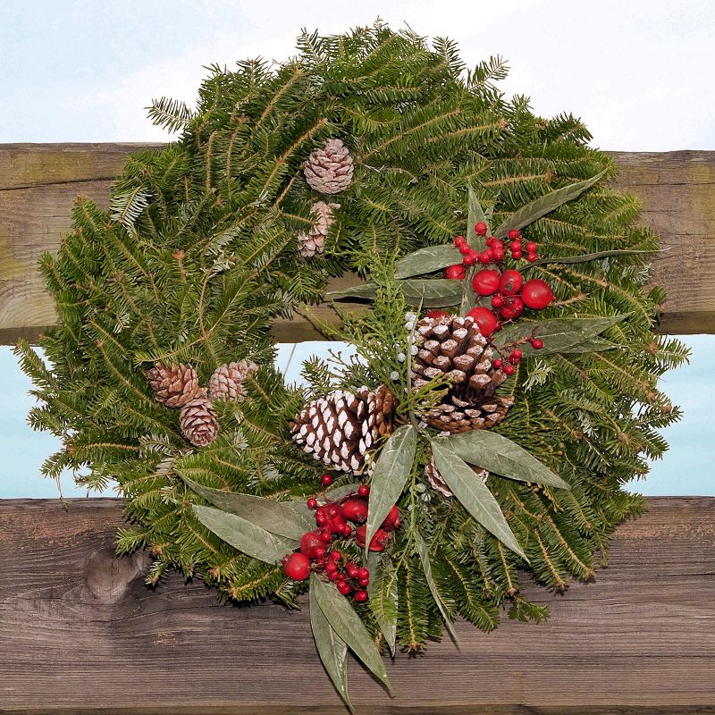 24" Live Fresh Cut Bayberry Frosted Wreath - National Plant Network