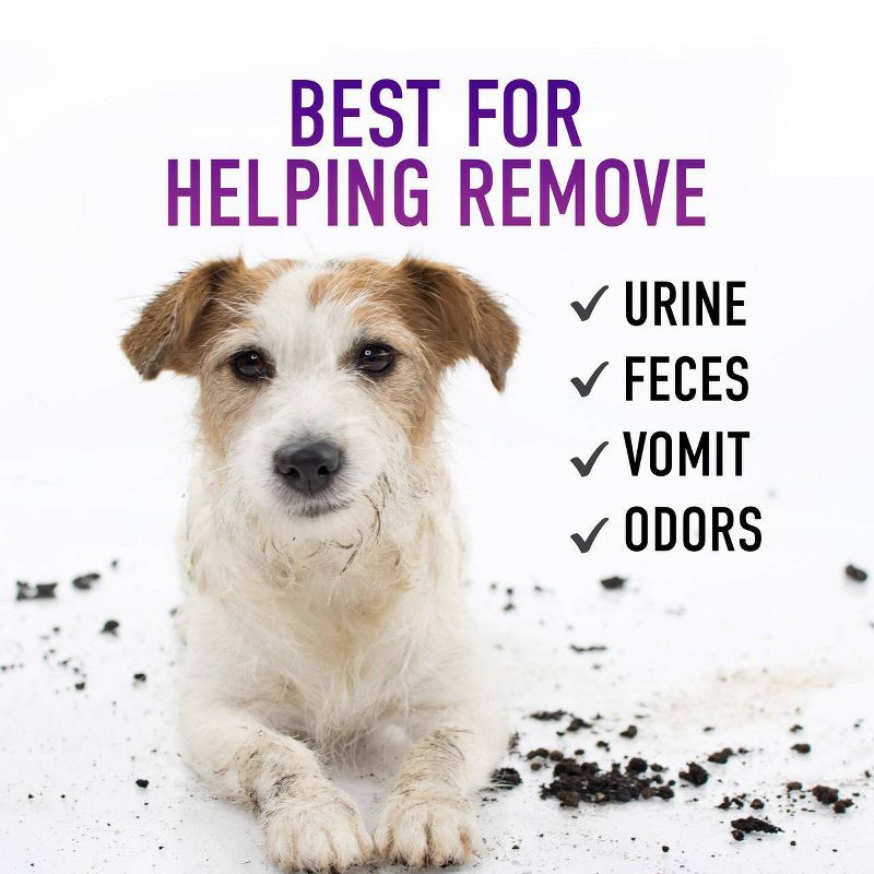 Hoover Paws & Claws Premixed Spot Cleaner Solution Formula and Odor Remover for Pets 32oz