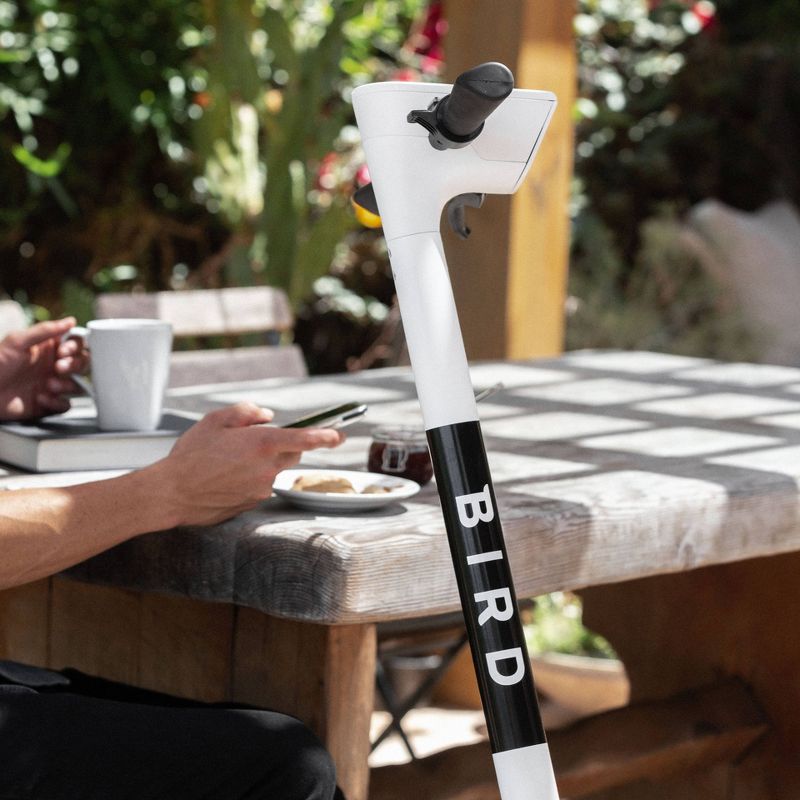 Bird One Electric Scooter - Dove White