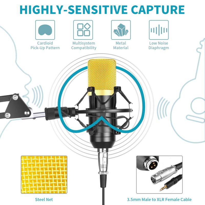 10 Foot Male to Female XLR Microphone Cable (Black)