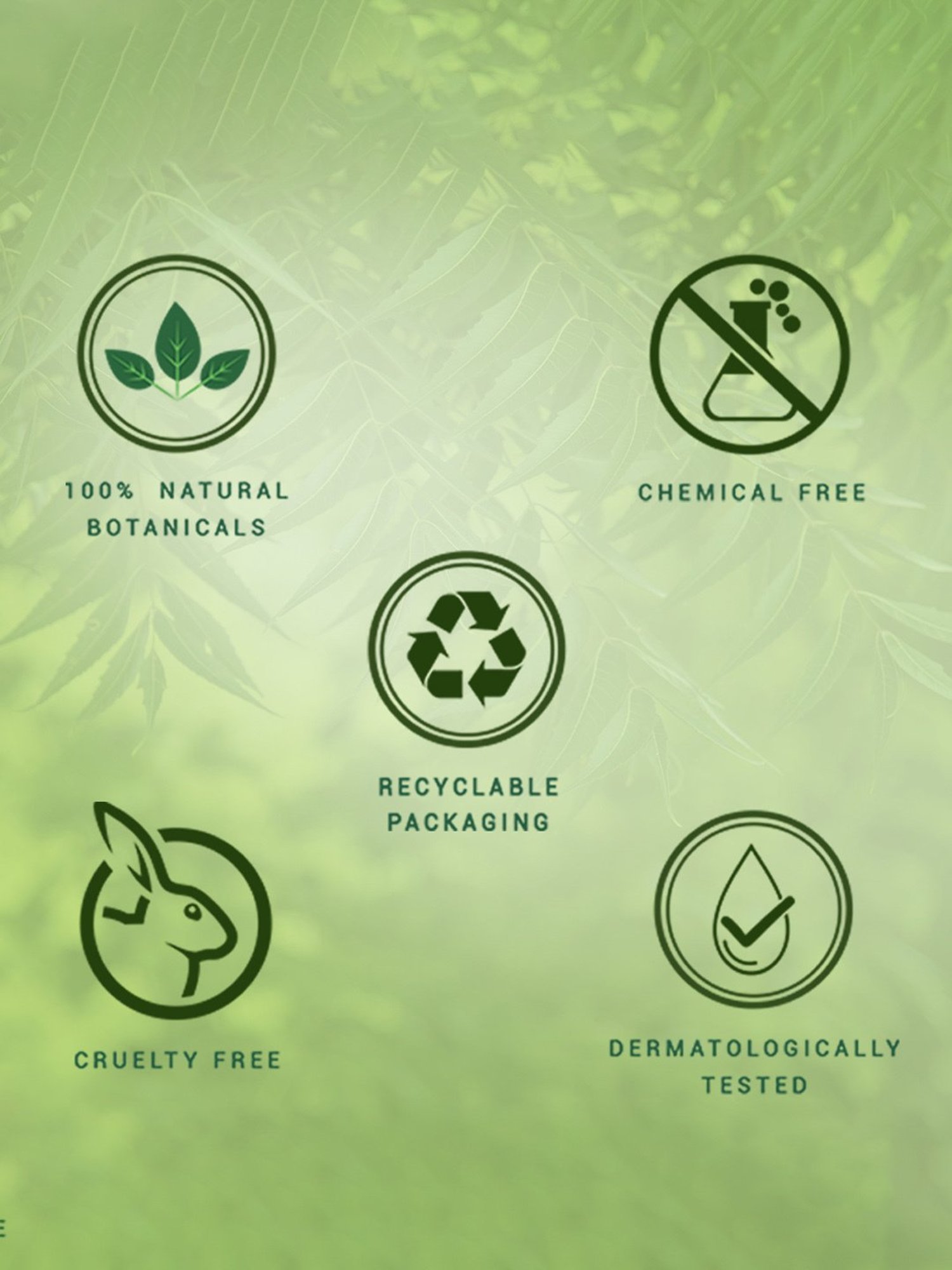 Biotique Fresh Neem Anti Dandruff Shampoo & Conditioner - 650 ml