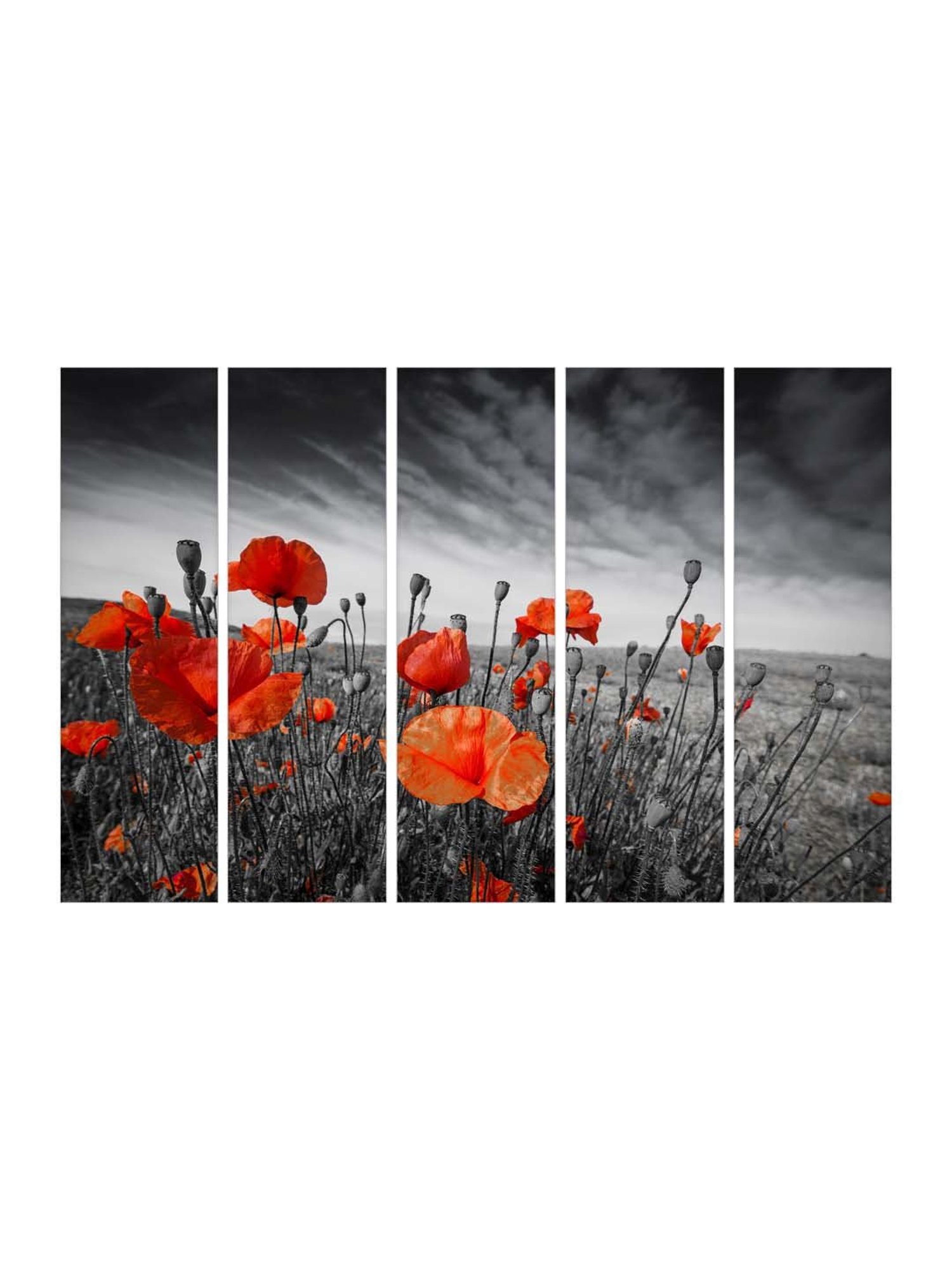 999Store Black & Orange Flowers Art 5 Frame MDF Paintings