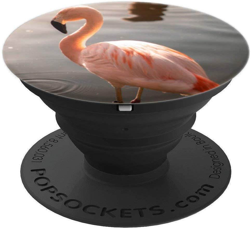 Pink Flamingo PopSockets Grip and Stand for Phones and Tablets