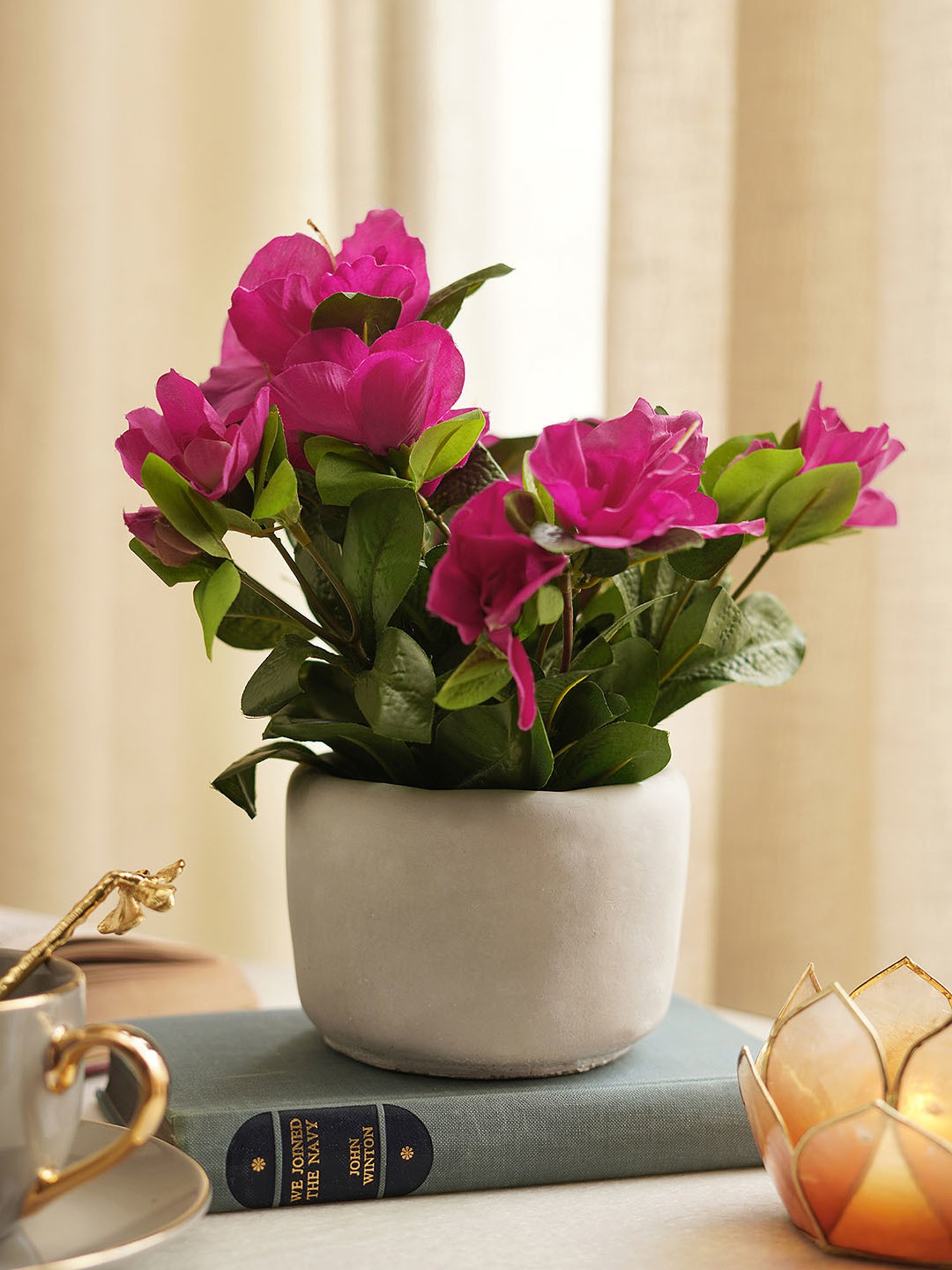 Pure Home and Living Pink Plastic Potted Plants
