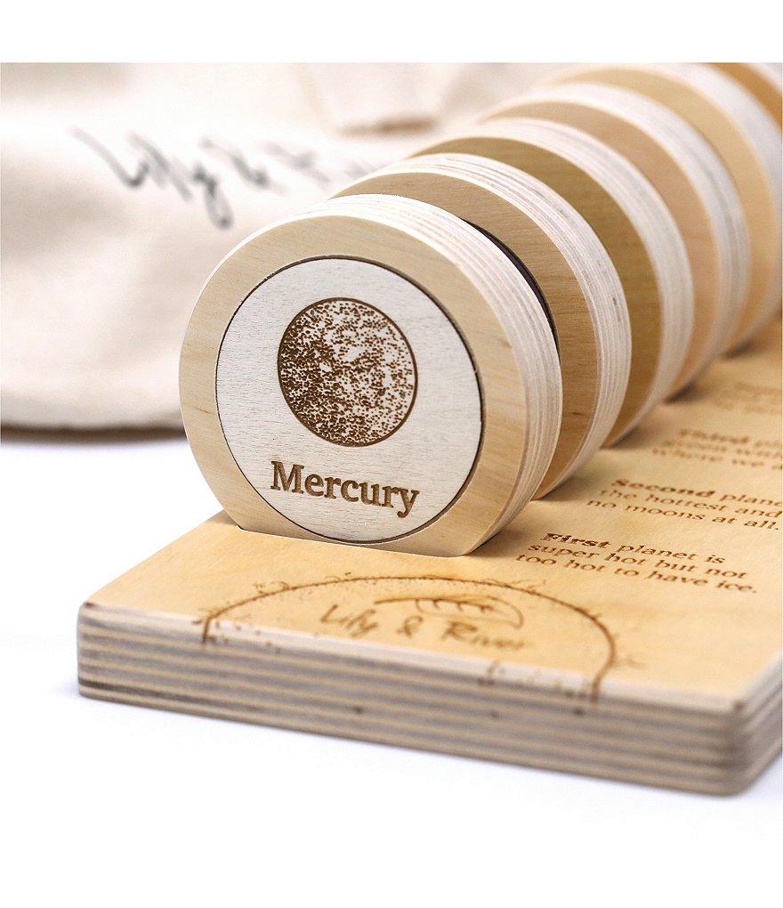 Lily & River Little World - Little Astronaut Facts & Memory Game