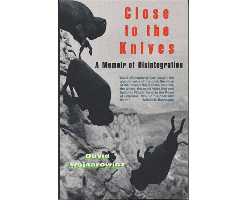 Close to the Knives - by  David Wojnarowicz (Paperback)