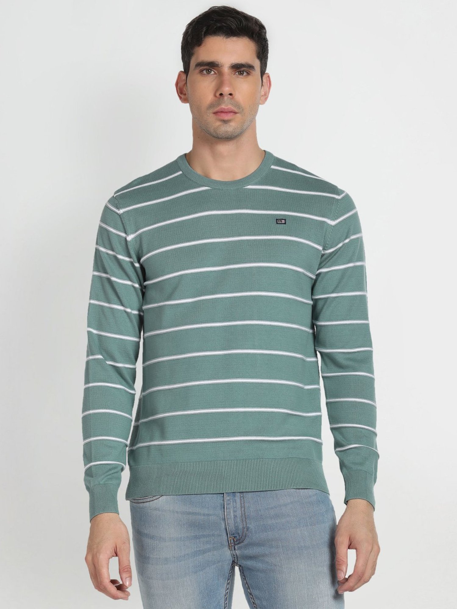 Arrow Sport Sage Cotton Regular Fit Striped Sweater