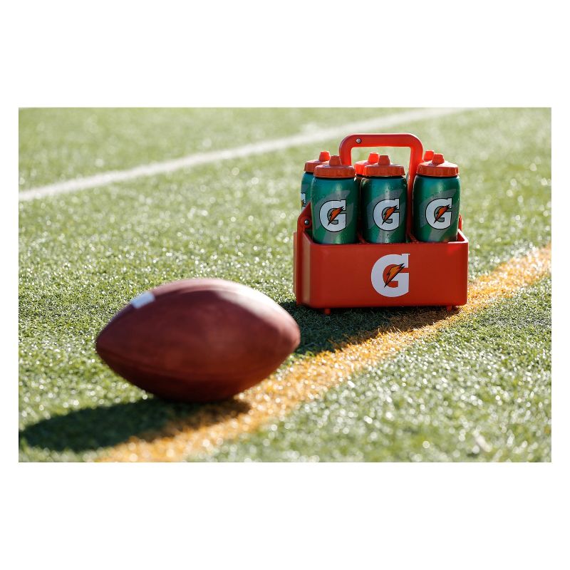 BODYARMOR LYTE Watermelon Sports Drink - 16 fl oz Bottle