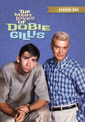MANY LOVES OF DOBIE GILLIS:SEASON ONE