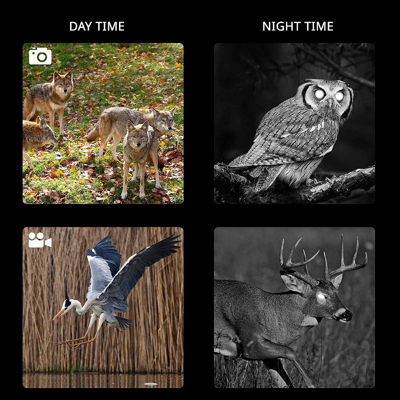 Hike Crew Digital Night Vision Binoculars, Capture Photos & Record Videos, Large LCD Screen with 7 Levels of Brightness for 100% Darkness, Infrared Night Goggles for Hunting