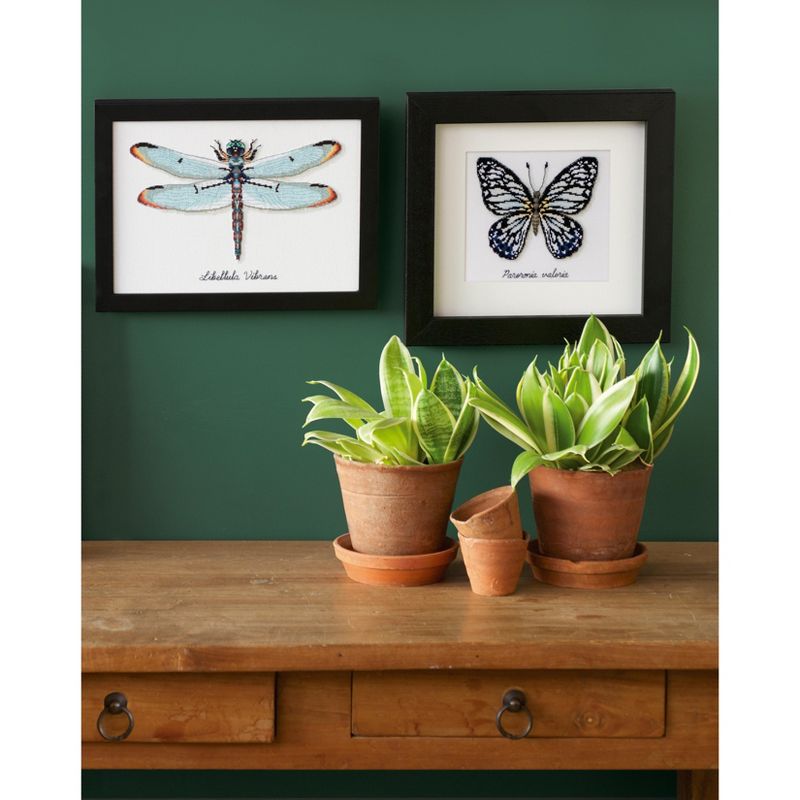 Vervaco Counted Cross Stitch Kit 10.75"X7.5"-Dragonfly On Aida (18 Count)