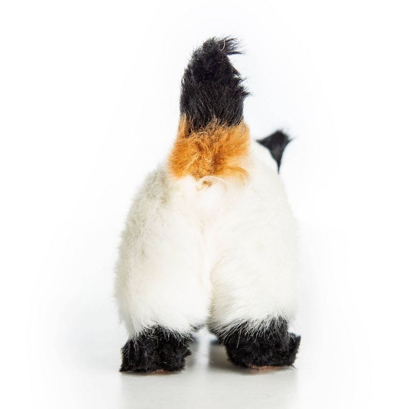 The Queen's Treasures 18" Doll Pet Accessory - Blue Eyed Siamese Kitty Cat