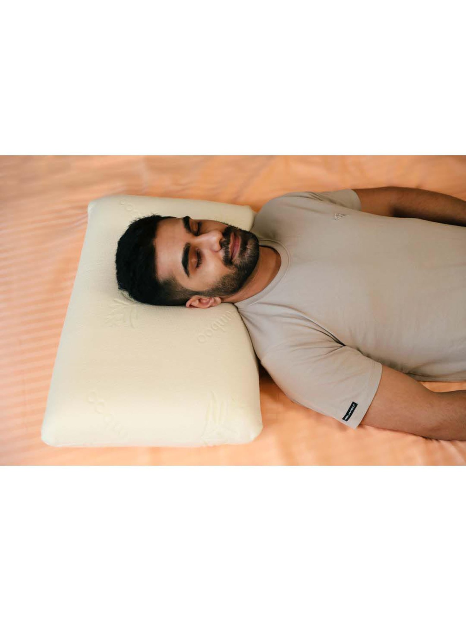 The White Willow White Regular Pillow with Cover - Set of 1