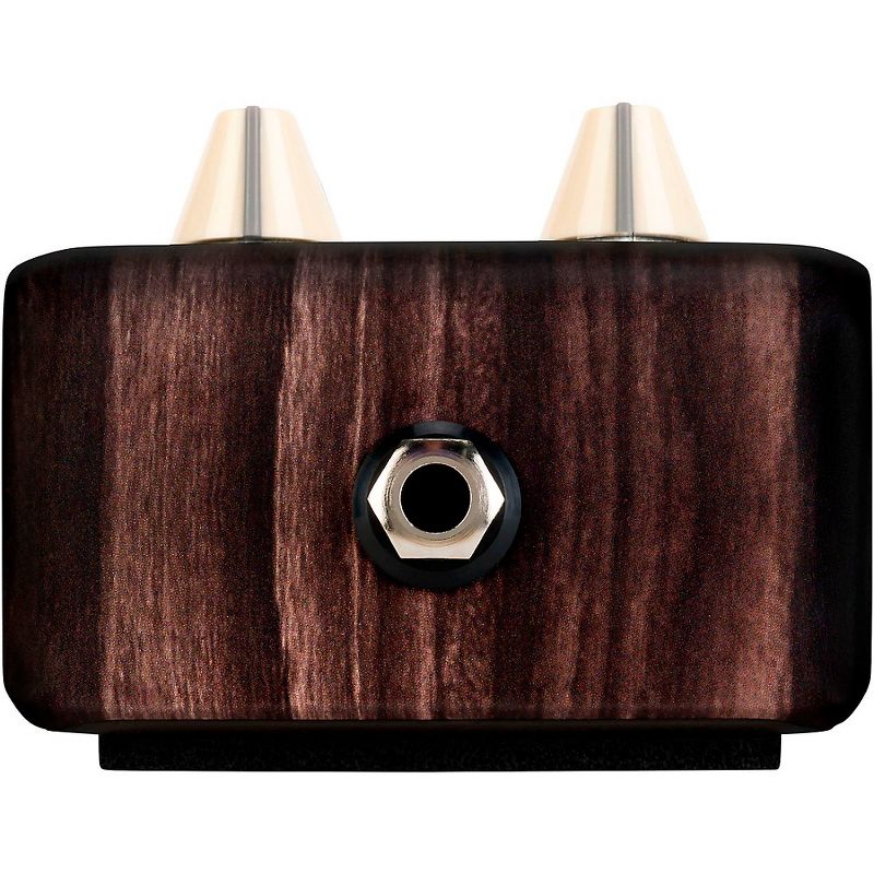 LR Baggs Align Delay Acoustic Effects Pedal