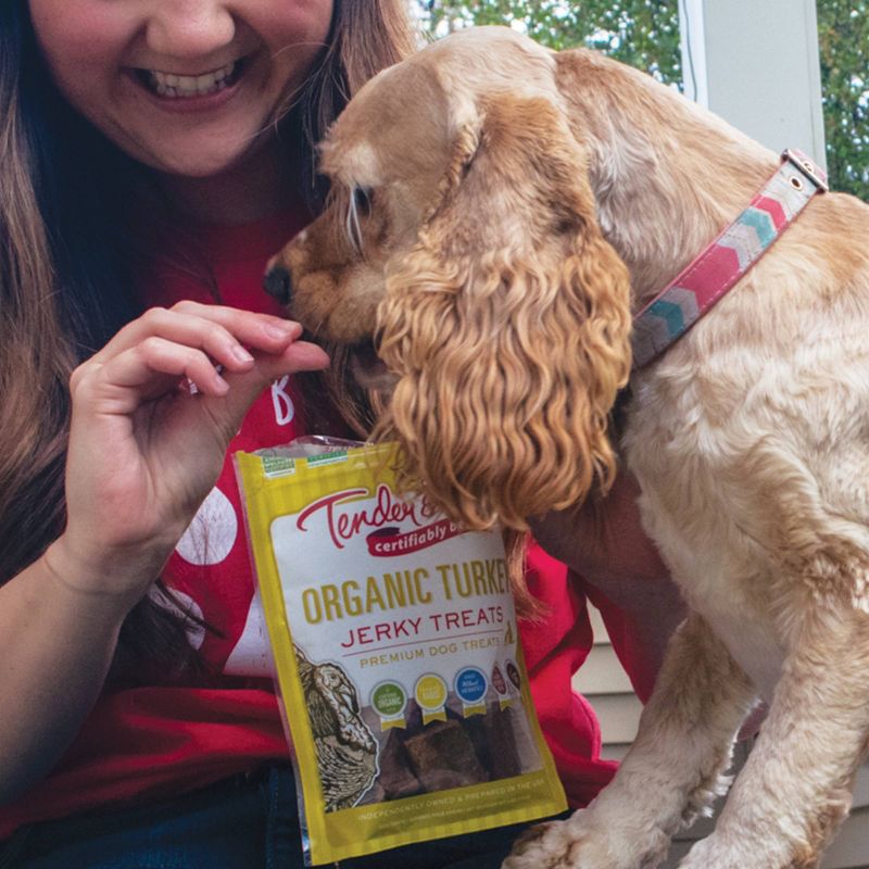 Tender & True Organic Turkey Recipe Jerky Dog Treats - 4oz