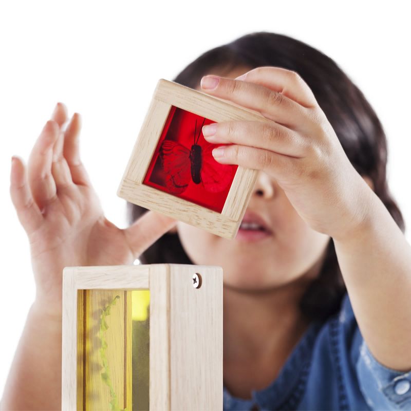 Guidecraft Primary Treasure Blocks - Set of 8