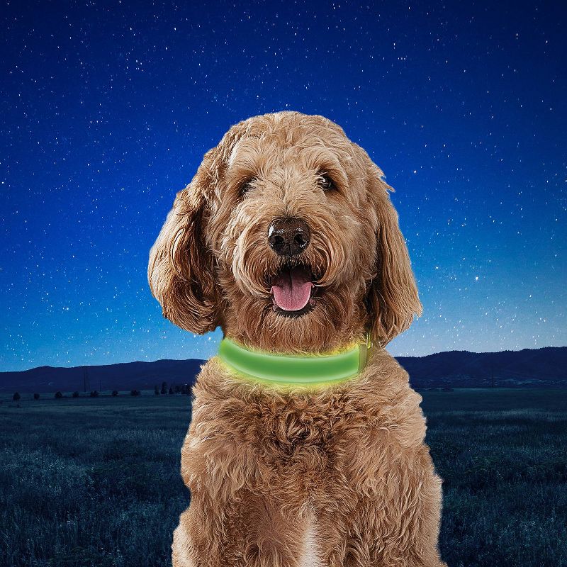 Nite Ize Dog Rechargeable LED Dog Collar - M - Lime/Green